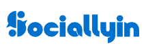 Sociallyin: THE Social Media Agency logo